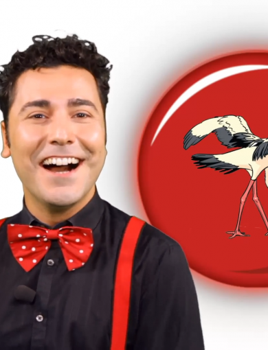 İlkokul, Ortaokul ve Lise Eğitimleri