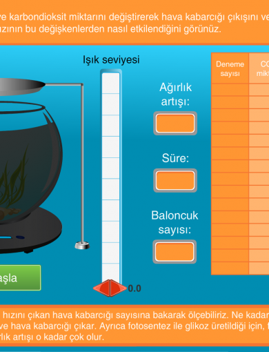 Eğitsel Simülasyon