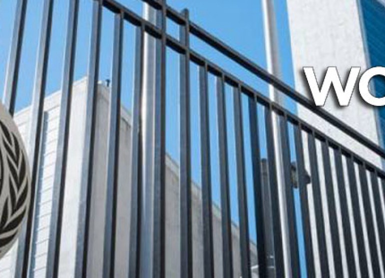 UN WOMEN Eğitsel  E-İçeriklerini Motto Geliştirecek!